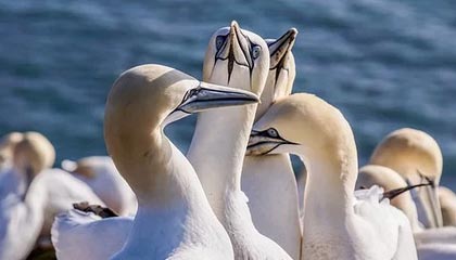 爱游戏真人体育娱乐-球迷对国足失利表达不满，球迷对国足的评价